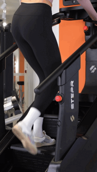 Stepr Xl – high-quality fitness equipment