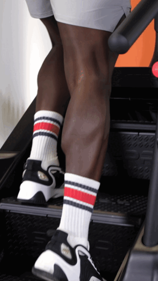 Stepr Xl – high-quality fitness equipment