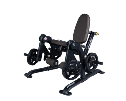 Hoist Leg Extension CF-3401