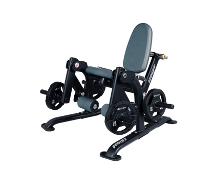 Hoist Leg Extension CF-3401