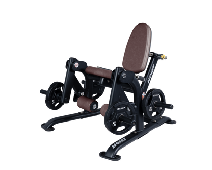 Hoist Leg Extension CF-3401