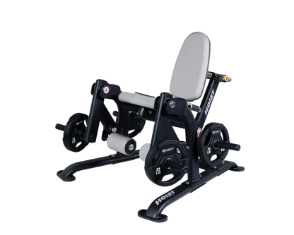 Hoist Leg Extension CF-3401