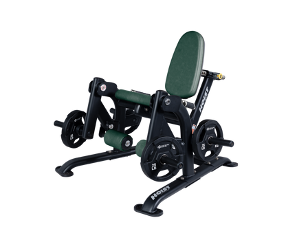 Hoist Leg Extension CF-3401