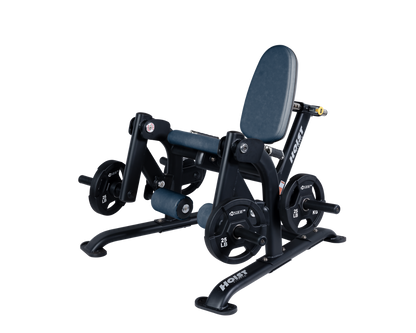 Hoist Leg Extension CF-3401