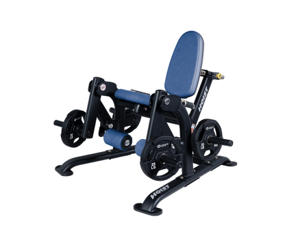 Hoist Leg Extension CF-3401
