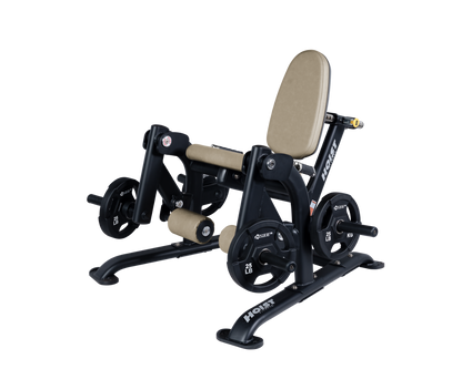 Hoist Leg Extension CF-3401