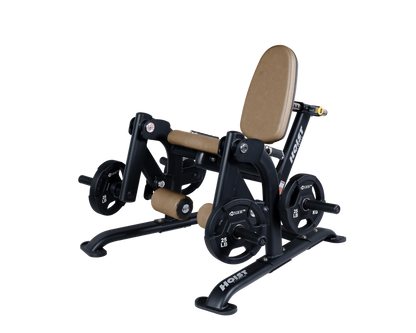 Hoist Leg Extension CF-3401