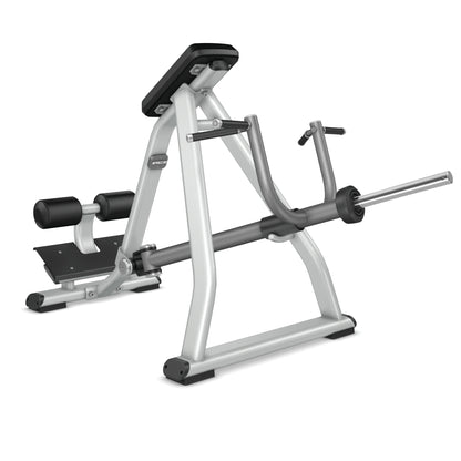 Precor Discovery Dpl0311 Incline Lever Row – rowing machine – smooth full-body cardio trainer