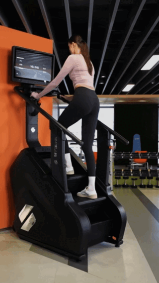 Stepr Xl – high-quality fitness equipment
